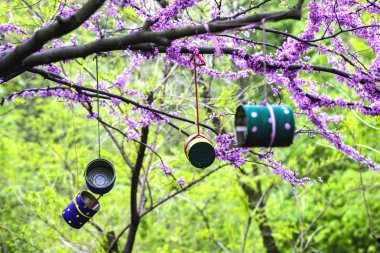 Soluk pembe çiçekler