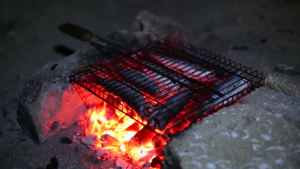 Man grill zet mand met vis op brazier vol levende kolen. — Stockvideo