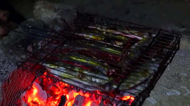 Ο άνθρωπος βάζει καλάθι με ψάρια στο μαγκάλι γεμάτο ζωντανά κάρβουνα Γκριλ. — Αρχείο Βίντεο