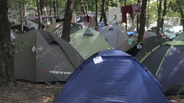 Namiot camp w pierwsze promienie słońca. namiot camp. — Wideo stockowe