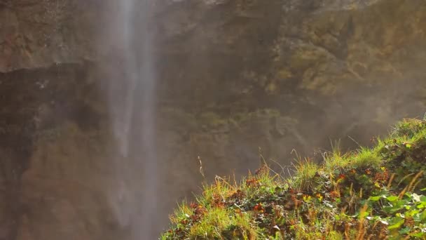 Natural beauty in nature. beautiful waterfall cascades over cliff Laza, Guba, Azerbaijan. — Stock Video