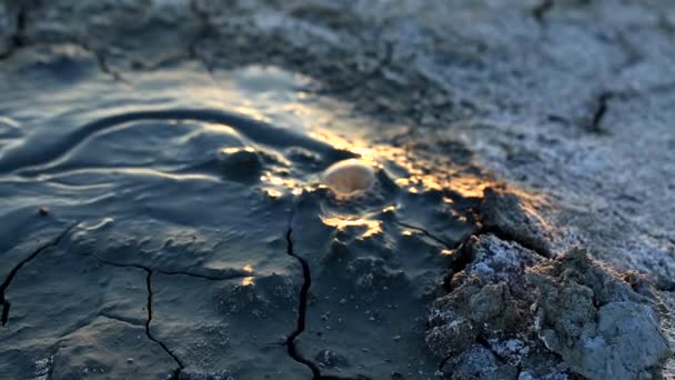 Mud volcanoes wide landscape - strange geological phenomenon — Stock Video