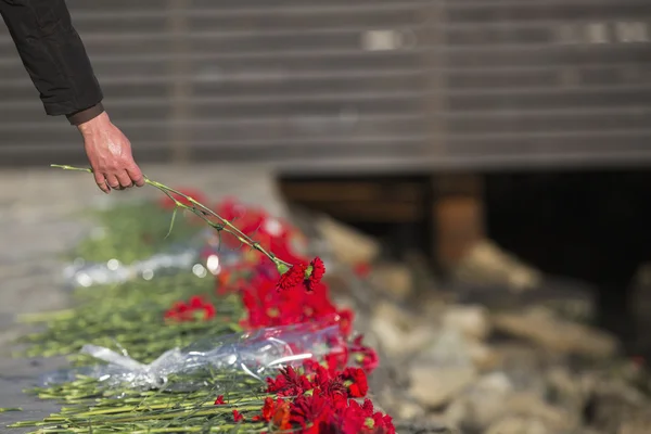 Nelkenblumen als Symbol der Trauer. — Stockfoto