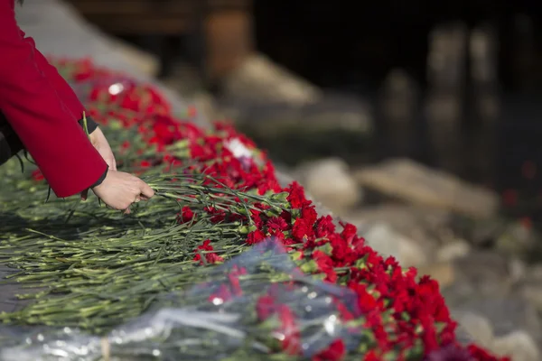 Nejlikor blommor symbol för sorg. — Stockfoto