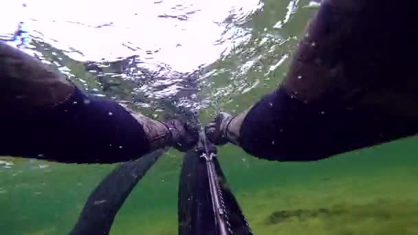 男が泳いで、メディテイン海で槍釣りをする。表面に向かってダイビングしながら、スピアガンを扱う無料のダイビングスピアフィッシャー。ハードコア藻類を通過し、草を参照してください。音付き. — ストック動画