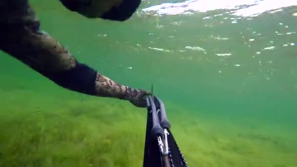 Männerschwimmen und Speerfischen im Mittelmeer. Freitaucher-Speerfischer, der die Speerspitze bedient, während er zur Oberfläche taucht. Wir gehen durch Algen und sehen Gras. mit Ton. — Stockvideo