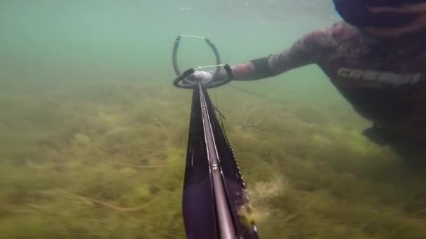 Hombre nadando y pescando con lanzas en el mar del Mediterrain. Pescador de lanzas de buceo libre manejando la lanza mientras bucea hacia la superficie. Going Through Hardcore Algae and See Grass. Con sonido . — Vídeos de Stock