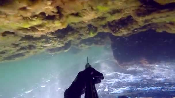 Man zwemmen en Speervissen in de mediterrain zee. Free diving spearfisher handling de speargun terwijl hij naar het oppervlak duikt. Gaan door hardcore algen en zie gras. Met geluid. — Stockvideo
