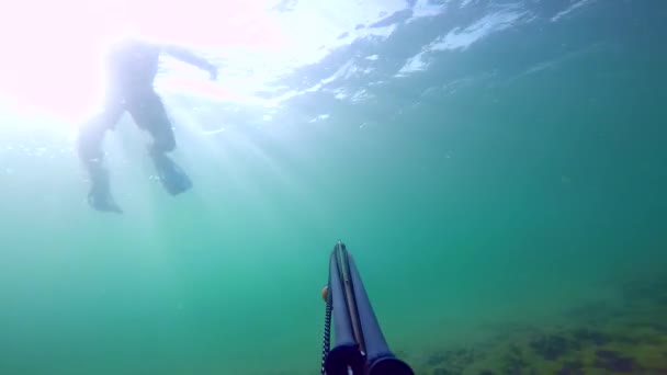 L'uomo nuota e pesca con la lancia nel mare Mediterraneo. Pescatore subacqueo che manovra il fucile mentre si tuffa verso la superficie. Passando attraverso le alghe Hardcore e vedere erba. Con suono . — Video Stock