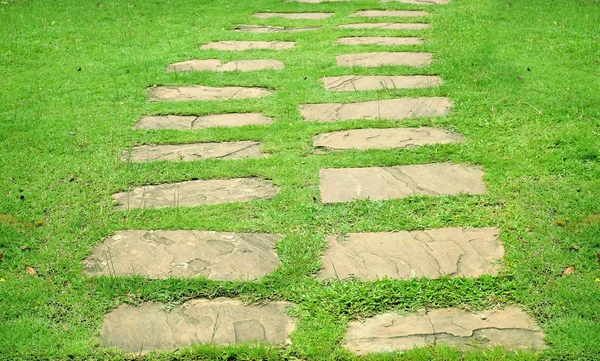 芝生の上の歩道 — ストック写真