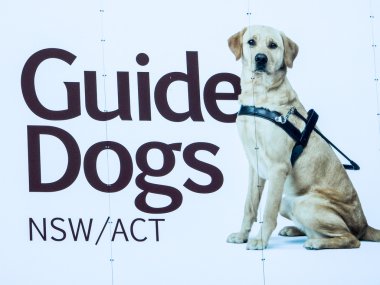 Rehber köpekler Nsw/Act Billboard Logo