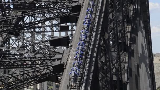 Sydney puerto puente escalada — Vídeos de Stock