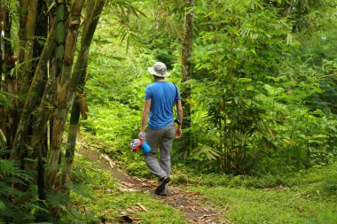 Young men waling through lush rainforest wearing blue shirt, hat