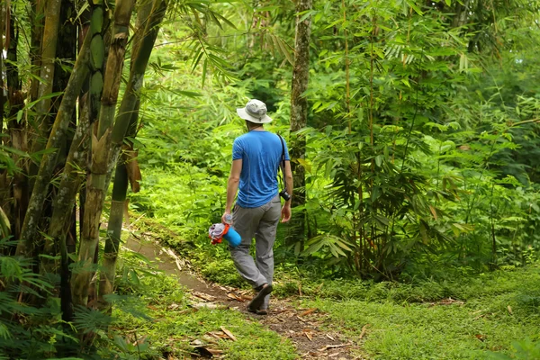 Young men waling through lush rainforest wearing blue shirt, hat — Zdjęcie stockowe