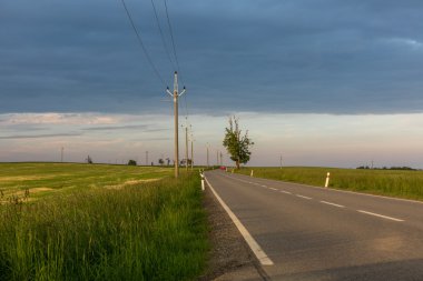 Yol için belirsiz gidiyor ile sarı kolza tohumu alanlarında 