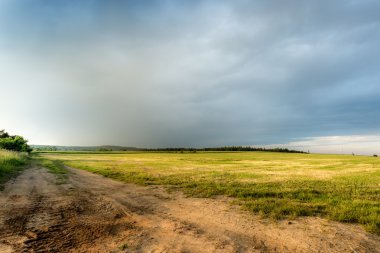 Yol için belirsiz gidiyor ile sarı kolza tohumu alanlarında 