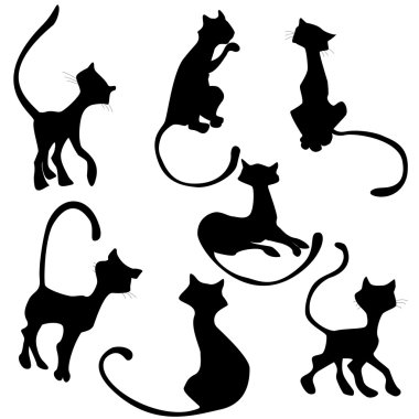 kedi siyah siluet seti