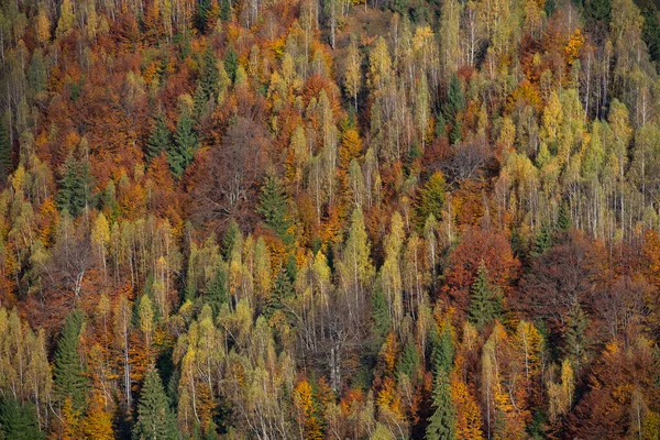 Paisaje Otoñal Condado Pestera Rumania —  Fotos de Stock