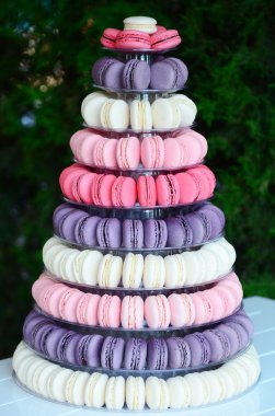 acıbadem kurabiyesi kurabiye