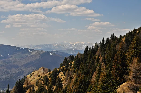 Paesaggio — Foto Stock