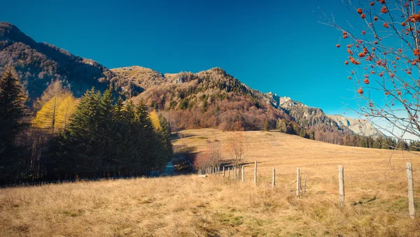 Paisaje — Foto de Stock