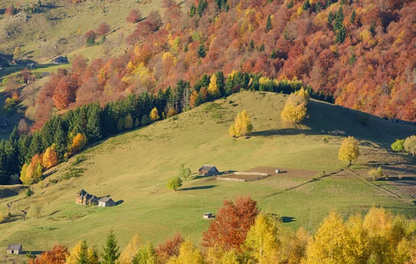 Осінь у румунського села — стокове фото