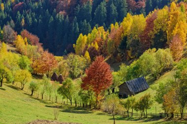 Romanya sonbahar manzarası