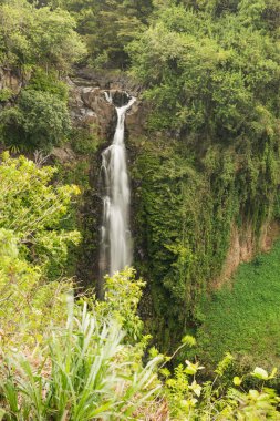Görünüm Makahiku Falls