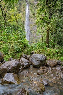 Nehir geçiş, Waimoku Şelalesi'nde