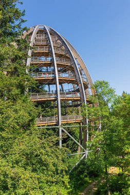 Yayın: NEUSCHONAU, BAVARIA, GERMANY, 12 Ağustos 2020 - Bavyera Ormanı 'ndaki Neuschonau yakınlarındaki ağacın tepesindeki gözlem kulesi