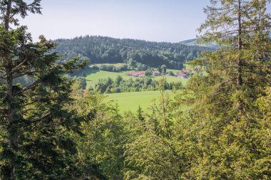 Neuschonau 'nun etrafındaki tepeler ağaçların tepesinde yürüyor.