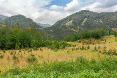 Ameisstein 'den inerken Almsee civarındaki çayırlar.