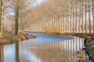 The Moervaart, a canal with bald trees seen from the Kalve bridge
