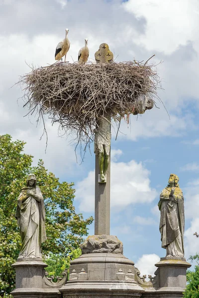 Два Аиста Смотрят Камеру Своего Гнезда Над Крестом Иисуса Кладбище — стоковое фото