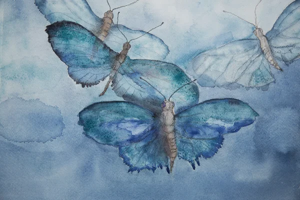空の青い蝶の飛翔. — ストック写真