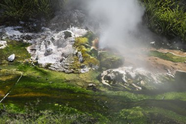 Waimangu Nehri'nde küçük Şofben
