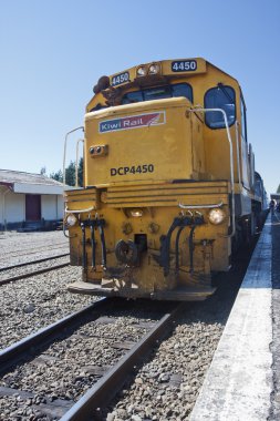 Tranzalpine Express Springfield istasyonu