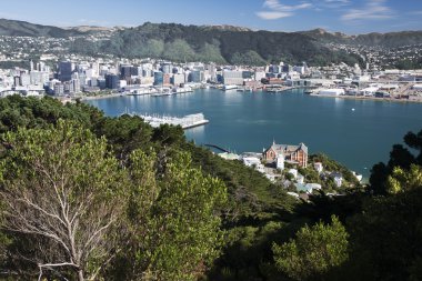 Lambton Mount Victoria'dan görülen Harbour
