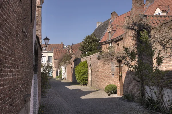 Mechelen küçük beguinage küçük sokak — Stok fotoğraf