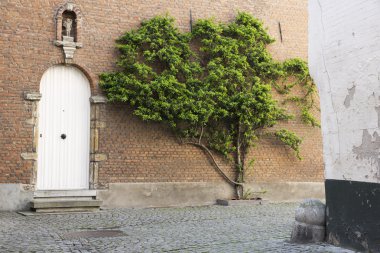 Mechelen beguinage ağacında ile ev