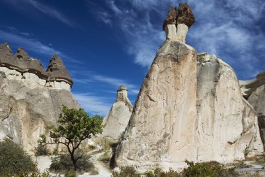 Pasabag, mantar kaplama Peri bacaları