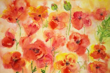 Several poppies and some green buds.