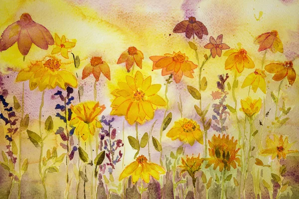 Coneflowers, marigold and lavender. — ストック写真