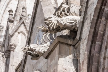 İguana gargoyles üzerinde Yerebatan del Voto Nacional çifti
