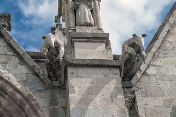 Dvojice Mravenečník chrliče na baziliky del Voto Nacional — Stock fotografie