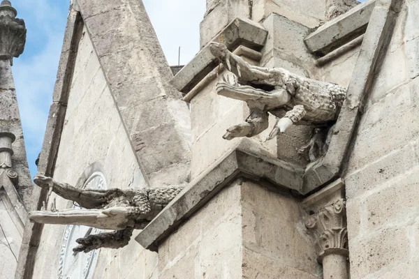 Coppia di gargoyle coccodrillo sulla Basilica del Voto Nacional . — Foto Stock