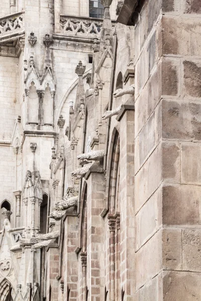 Pared lateral de la Basílica del Voto Nacional mostrando animales sirviendo como gárgolas —  Fotos de Stock