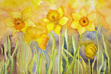 Farklı renkli anemon.