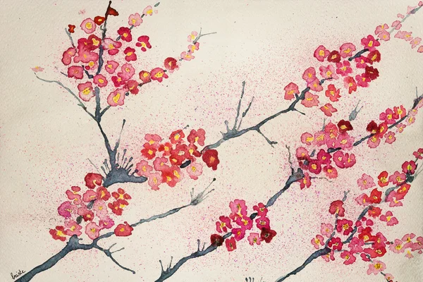 Flores de cereja em um fundo matizado — Fotografia de Stock