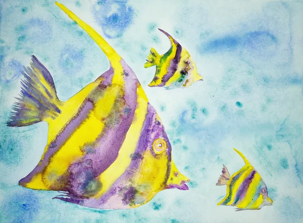 Żółty i fioletowy fantazji ryb. — Zdjęcie stockowe